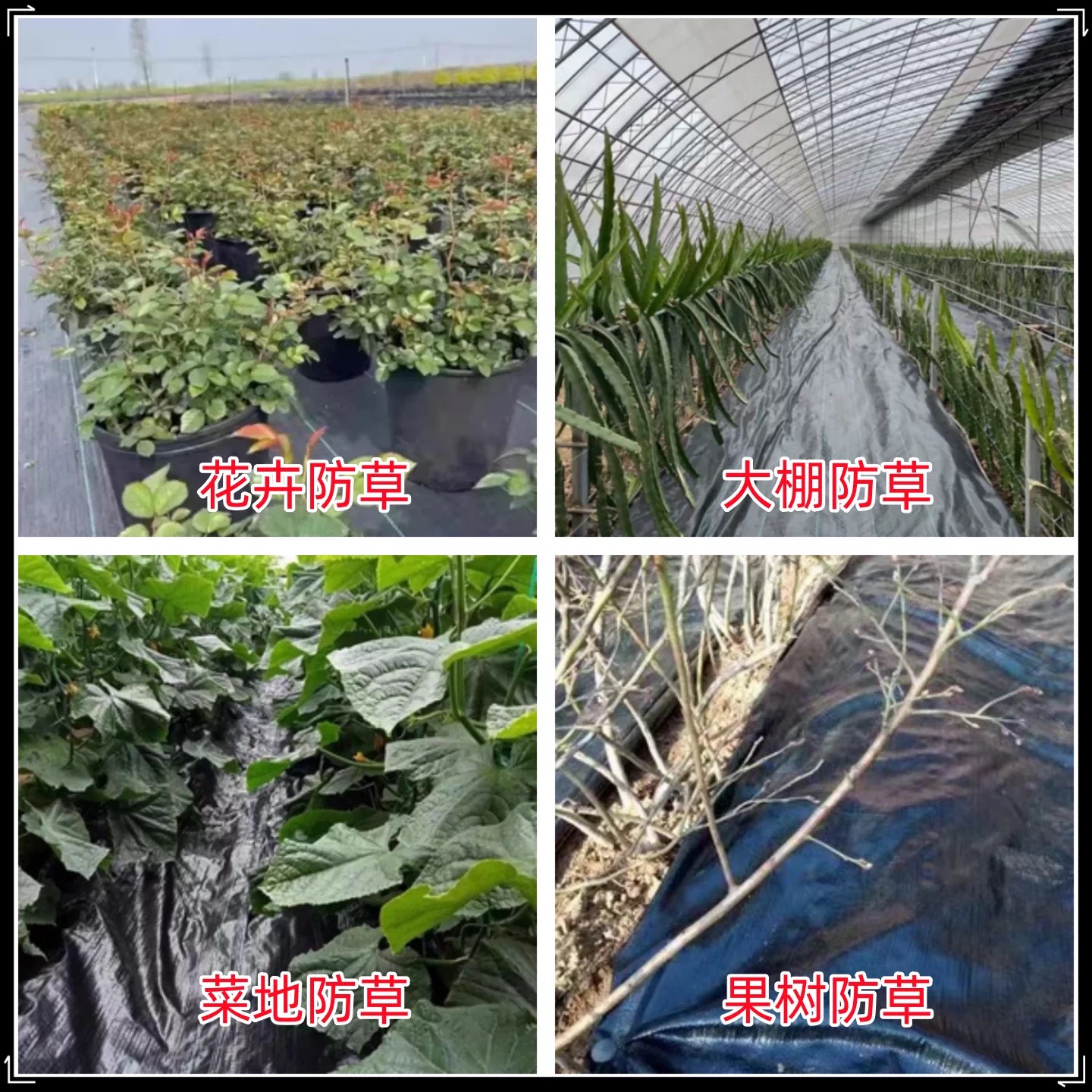 通辽市防草布防草布 - 厂家