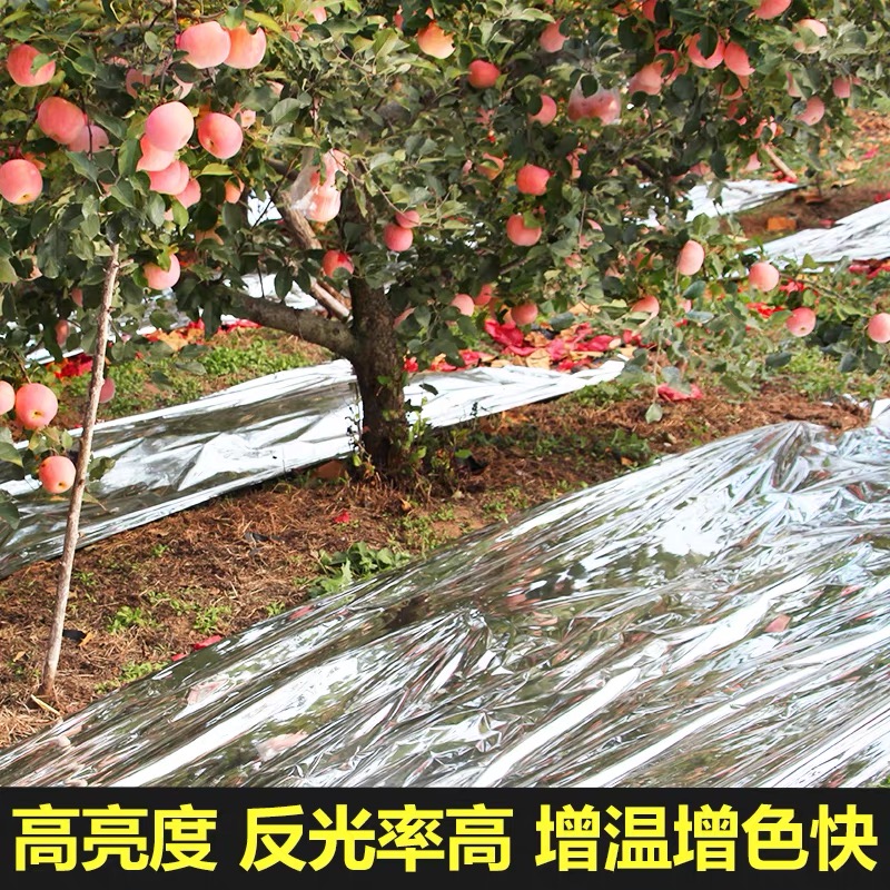 通辽市防草布果树反光膜 - 方案